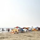 연포해수욕장(송림) 이미지