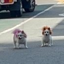 더 파티 노래연습장 이미지