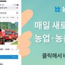 벌교농협농산물산지유통센터 이미지