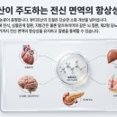 마이크로바이옴글로벌 | 만병의 근원 장건강, 마이크로바이옴이 여는 자율건강의 시대