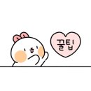 육회꽃필무렵 이미지