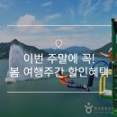 수원-0746 | 봄 여행주간 꿀팁 | 이번 주말에 꼭! 봄 여행주간 할인혜택 – 경기&amp;충청
