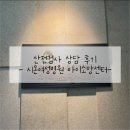 [산전검사] 임신사전 건강관리 상담 후기 (수원 시온여성병원 아이소망센터)