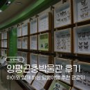 양평충전소 | [양평여행] 양평곤충박물관 자세한 방문 후기: 아이와 함께하는 양평여행 추천 관광지