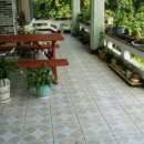 하얀민박 이미지