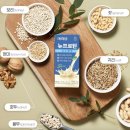 비타민신통 | 마이밀 뉴프로틴 고소한맛 2주 먹어본 솔직후기