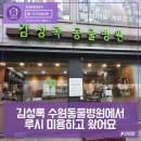 루시네애견 네이버블로그