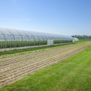 경남농약종묘사 이미지