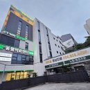 제주24시숨동물의료센터 뉴스1
