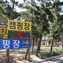 몽산포패밀리데이캠핑장 | 몽산포패밀리데이캠핑장 바다와 캠핑, 조화로운 하루