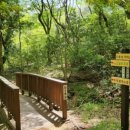 붉은오름자연휴양림2 이미지