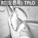 쥬만지동물의료센터