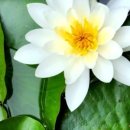 민속공원화장실 이미지