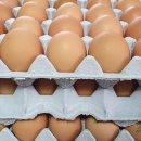 영광군푸드뱅크 이미지