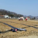 청도떡방