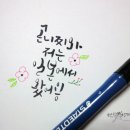 화인그래픽 이미지
