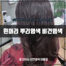 (재)한국천연색소산업화센터 | [마들 천연염색] 순한 셀프 염색약 추천, 흰머리 뿌리염색 애쉬브라운 비건염색 후기!