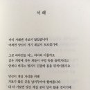 멋쟁이토마토 이미지