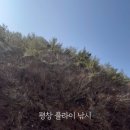 여울 롯지 이미지