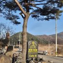 호랑이캠핑한탄강지점