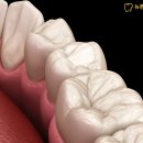 뉴튼치과병원 이미지