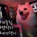 GS25 수성시지점 이미지