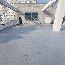 카르펫디엠 강아지유치원 이미지