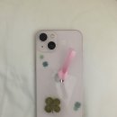 행운 수집가