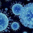 바운드짐 이미지