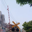 꽃바위 외국인 특화거리 | 홍대 레드로드(Red Road) 산책 -홍대문화거리, 땡땡거리, 버스킹거리