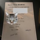 도도아이래쉬 | [사당 솔로파티] 설레임파티 내돈내산 솔직후기