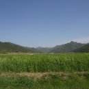 선달농장 이미지