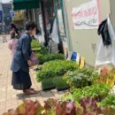 자선종묘사 이미지