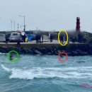 인천소방본부(37191) | 양양 물에 빠진 선장 지켜만 본 소방, 5분 동안 단 한 명도 물에 안 들어갔다