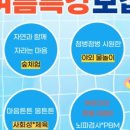 (주)디브레인 이미지