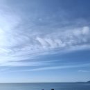 김성