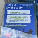 흥업요양원 | 원주 카페 고래호수, 원주에서 가볼만한 곳일까? 내돈내산 후기
