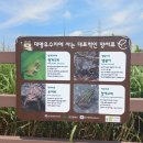 대명유수지 - 3898 | 대명유수지