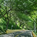 승봉치안센터 이미지