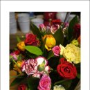 신우꽃집 이미지