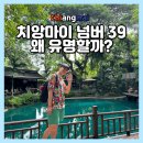 39 | 치앙마이 넘버 39 카페 방문 후기, 왜 유명할까?