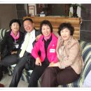 창용초교 이미지