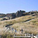 구성사슴농장 이미지