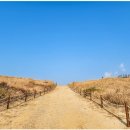 사구해수욕장2 이미지