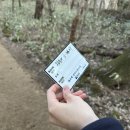 한라산백록담 | 3월 중순 한라산 백록담 등반 후기, 필수 준비물, 소요시간