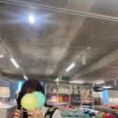 엘마르헤어