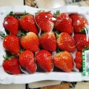 홈마트시청점 이미지