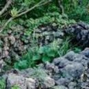 서호동-25 이미지