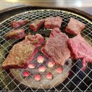 황소실비 이미지