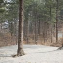 솔밭캠핑장 이미지